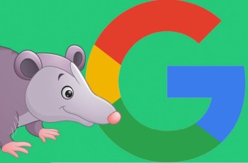 The Google Possum: What Does It Mean for Your Dealer Website?