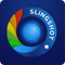 Downloads logo_slingshot